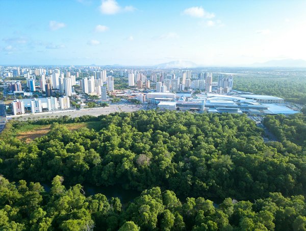 Un voyage créatif : atelier de danse contemporaine pour initiés – votre guide essentiel